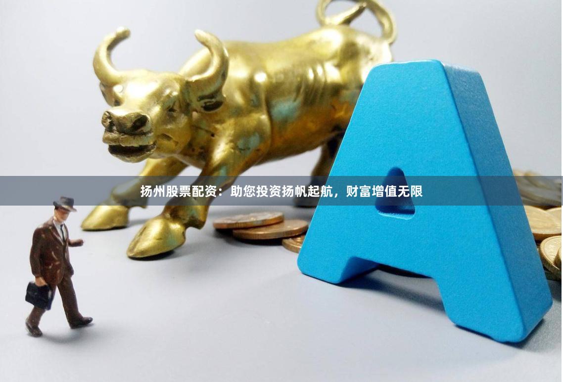 扬州股票配资：助您投资扬帆起航，财富增值无限
